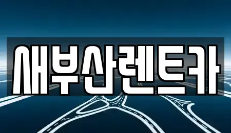 부산광역시 서구 토성동5가 렌트카 전문 새부산렌트카