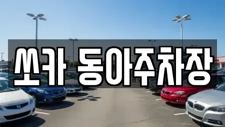 부산광역시 서구 토성동5가 렌트카 전문 쏘카 동아주차장