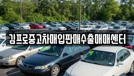 부산광역시 서구 토성동5가 중고차 전문 김프로중고차매입판매수출매매센터