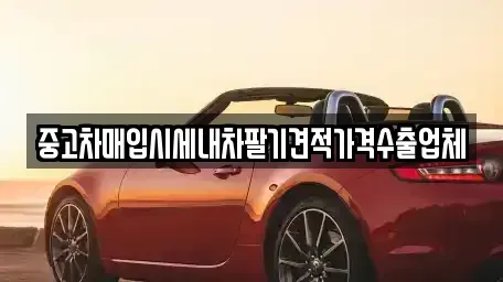 부산광역시 서구 토성동5가 중고차매입 전문 중고차매입시세내차팔기견적가격수출업체