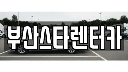 부산광역시 수영구 망미동 렌트카 전문 부산스타렌터카