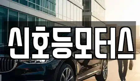 부산광역시 수영구 망미동 중고차 전문 신호등모터스