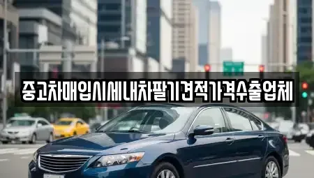 부산광역시 수영구 망미동 중고차 전문 중고차매입시세내차팔기견적가격수출업체