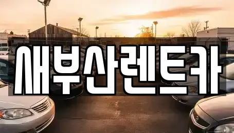 부산광역시 영도구 영선동3가 렌트카 전문 새부산렌트카
