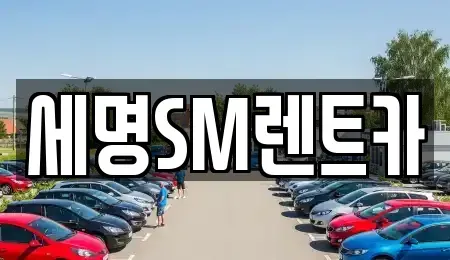 부산광역시 영도구 영선동3가 렌트카 전문 세명SM렌트카