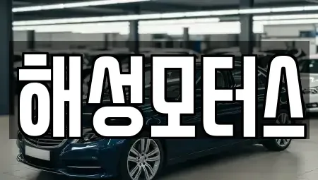 부산광역시 중구 남포동4가 중고차매매 전문 해성모터스