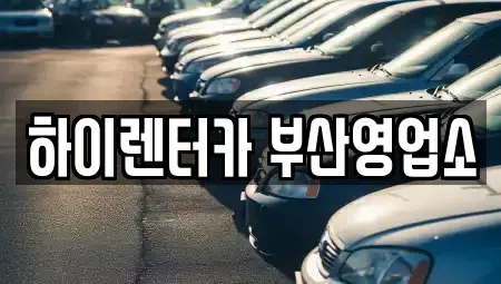 부산광역시 중구 동광동5가 렌트카 전문 하이렌터카 부산영업소