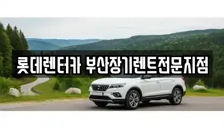 부산광역시 중구 동광동5가 장기렌트카 전문 롯데렌터카 부산장기렌트전문지점