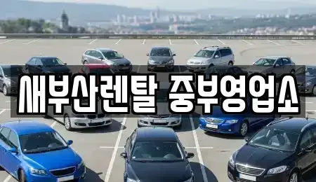 부산광역시 중구 렌트카 전문 새부산렌탈 중부영업소
