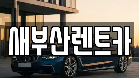 부산광역시 중구 렌트카 전문 새부산렌트카