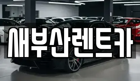 부산광역시 중구 신창동4가 렌트카 전문 새부산렌트카