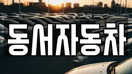 부산광역시 중구 신창동4가 중고차 전문 동서자동차
