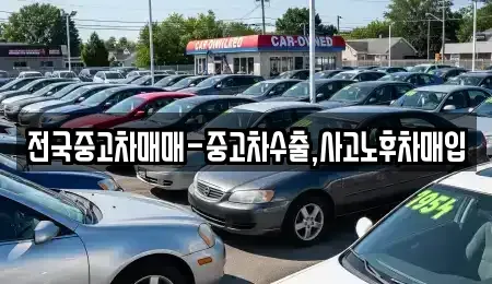 부산광역시 중구 신창동4가 중고차 전문 전국중고차매매-중고차수출,사고노후차매입