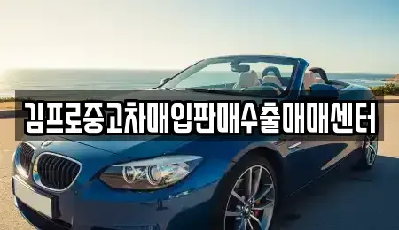 부산광역시 중구 신창동4가 중고차매입 전문 김프로중고차매입판매수출매매센터