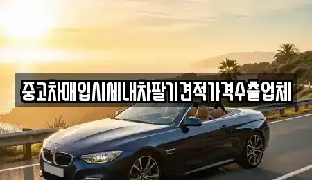 부산광역시 중구 신창동4가 중고차매입 전문 중고차매입시세내차팔기견적가격수출업체