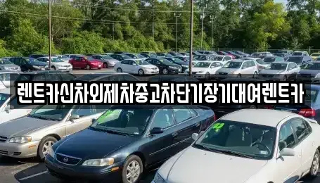 서울 강남구 개포동 단기렌트카 전문 렌트카신차외제차중고차단기장기대여렌트카