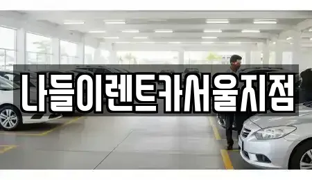 서울 강남구 개포동 렌트카 전문 나들이렌트카서울지점