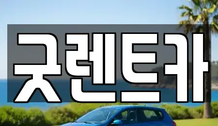 서울 강남구 개포동 장기렌트카 전문 굿렌트카