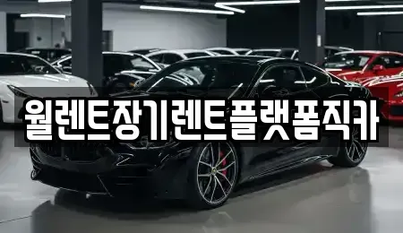서울 강남구 개포동 장기렌트카 전문 월렌트장기렌트플랫폼직카