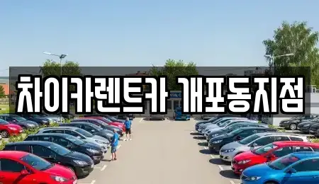 서울 강남구 개포동 장기렌트카 전문 차이카렌트카 개포동지점