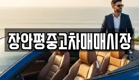 서울 강남구 개포동 중고차 전문 장안평중고차매매시장