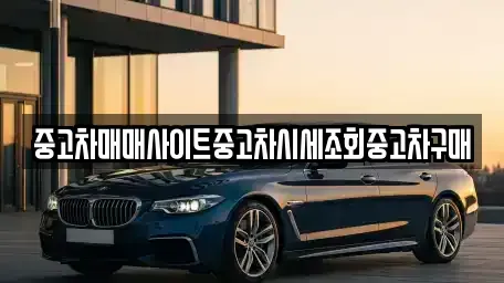 서울 강남구 개포동 중고차 전문 중고차매매사이트중고차시세조회중고차구매