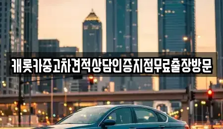 서울 강남구 개포동 중고차 전문 캐롯카중고차견적상담인증지점무료출장방문