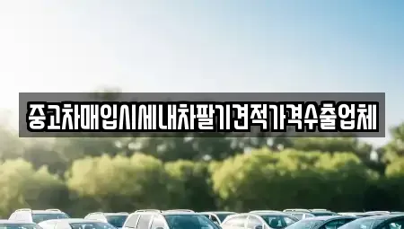 서울 강남구 개포동 중고차매입 전문 중고차매입시세내차팔기견적가격수출업체
