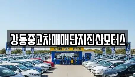 서울 강동구 성내동 중고차 전문 강동중고차매매단지진산모터스