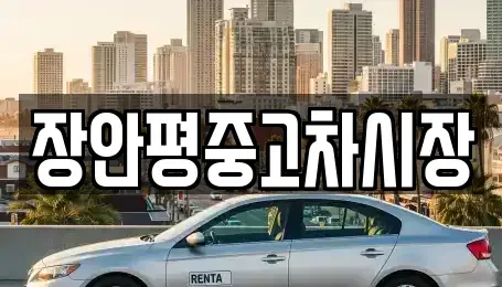 서울 강동구 성내동 중고차매매 전문 장안평중고차시장