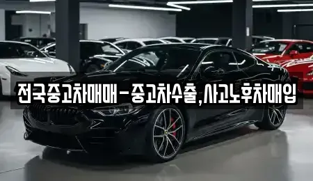 서울 강동구 성내동 중고차매매 전문 전국중고차매매-중고차수출,사고노후차매입