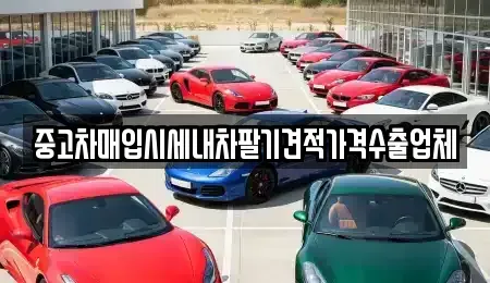 서울 강동구 성내동 중고차매매 전문 중고차매입시세내차팔기견적가격수출업체
