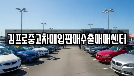 서울 강동구 성내동 중고차매입 전문 김프로중고차매입판매수출매매센터