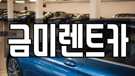 서울 강서구 개화동 렌트카 전문 금미렌트카