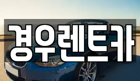서울 강서구 개화동 장기렌트카 전문 경우렌트카