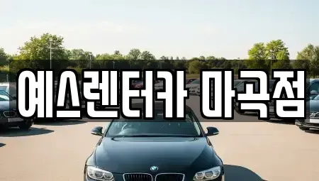 서울 강서구 개화동 장기렌트카 전문 예스렌터카 마곡점
