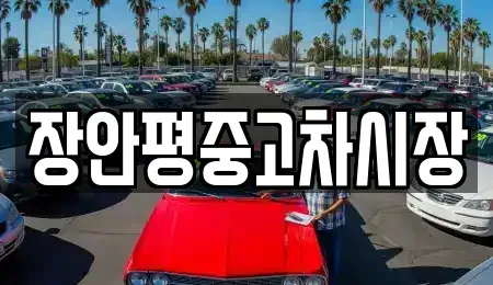 서울 강서구 개화동 중고차 전문 장안평중고차시장