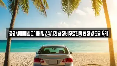 서울 강서구 개화동 중고차 전문 중고차매매최고가매입24시간출장비무료견적현장방문지누카