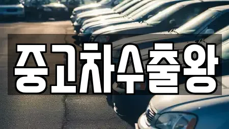 서울 강서구 개화동 중고차 전문 중고차수출왕