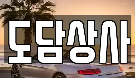 서울 강서구 개화동 중고차매매 전문 도담상사