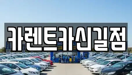 서울 동작구 노량진동 렌트카 전문 카렌트카신길점