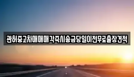 서울 동작구 노량진동 중고차매매 전문 관허중고차매매매각즉시송금당일이전무료출장견적
