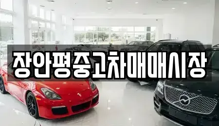 서울 동작구 노량진동 중고차매매 전문 장안평중고차매매시장