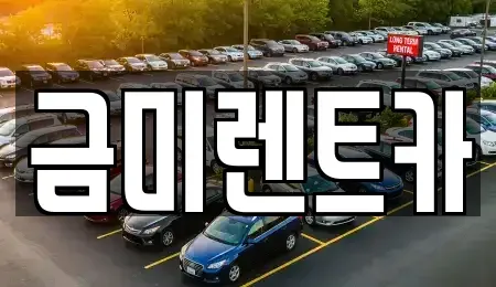 서울 동작구 대방동 렌트카 전문 금미렌트카