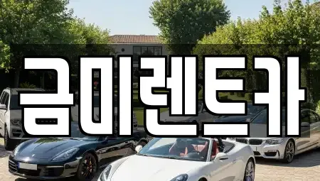 서울 마포구 아현동 렌트카 전문 금미렌트카