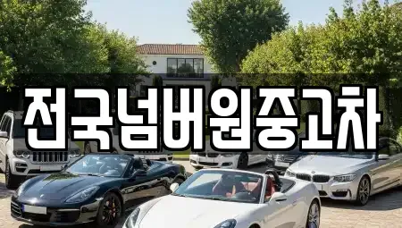 서울 마포구 아현동 중고차매매 전문 전국넘버원중고차