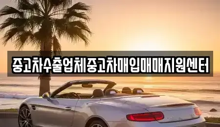 서울 마포구 아현동 중고차매입 전문 중고차수출업체중고차매입매매지원센터