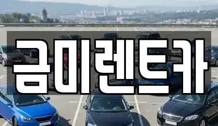 서울 마포구 토정동 렌트카 전문 금미렌트카