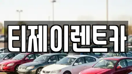 서울 마포구 토정동 렌트카 전문 티제이렌트카