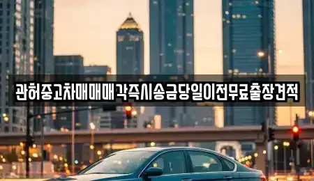 서울 마포구 토정동 중고차 전문 관허중고차매매매각즉시송금당일이전무료출장견적